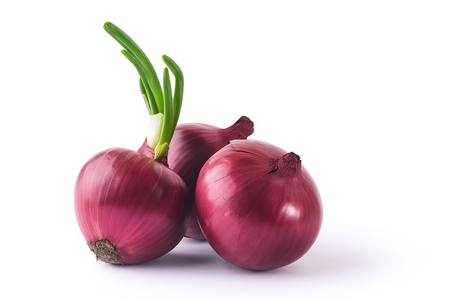 Onion